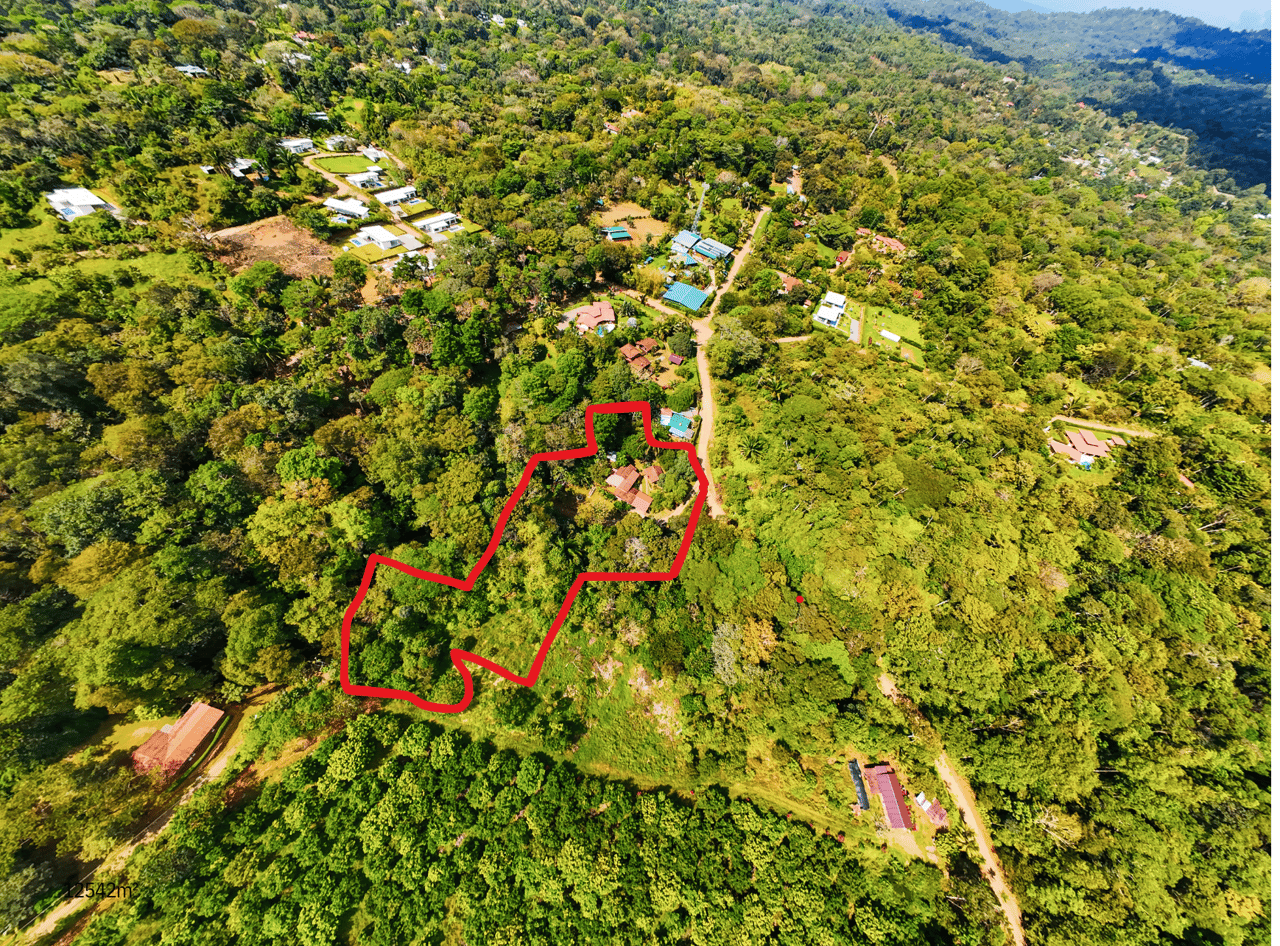 Serene Jungle Home + Guest Cabin on 3 Acres and River