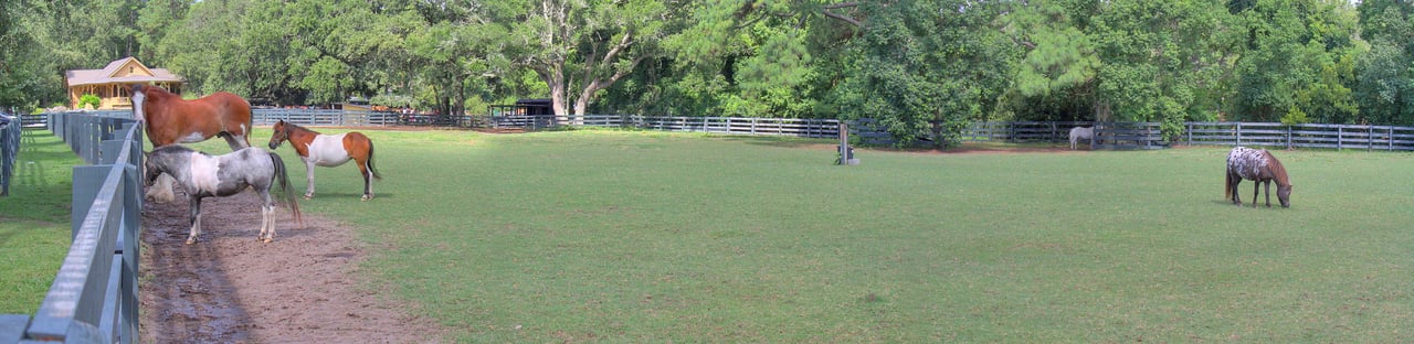 Sea Pines