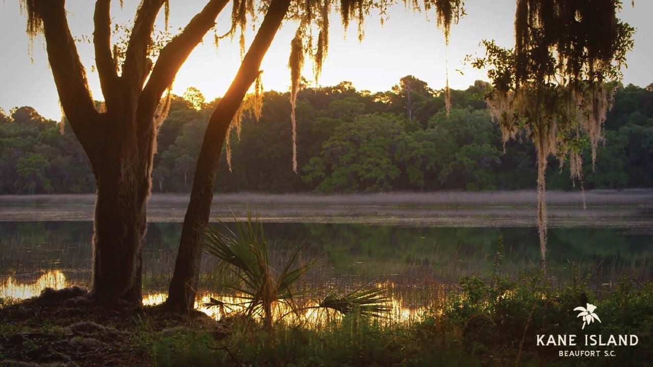Kane Island, Beaufort SC