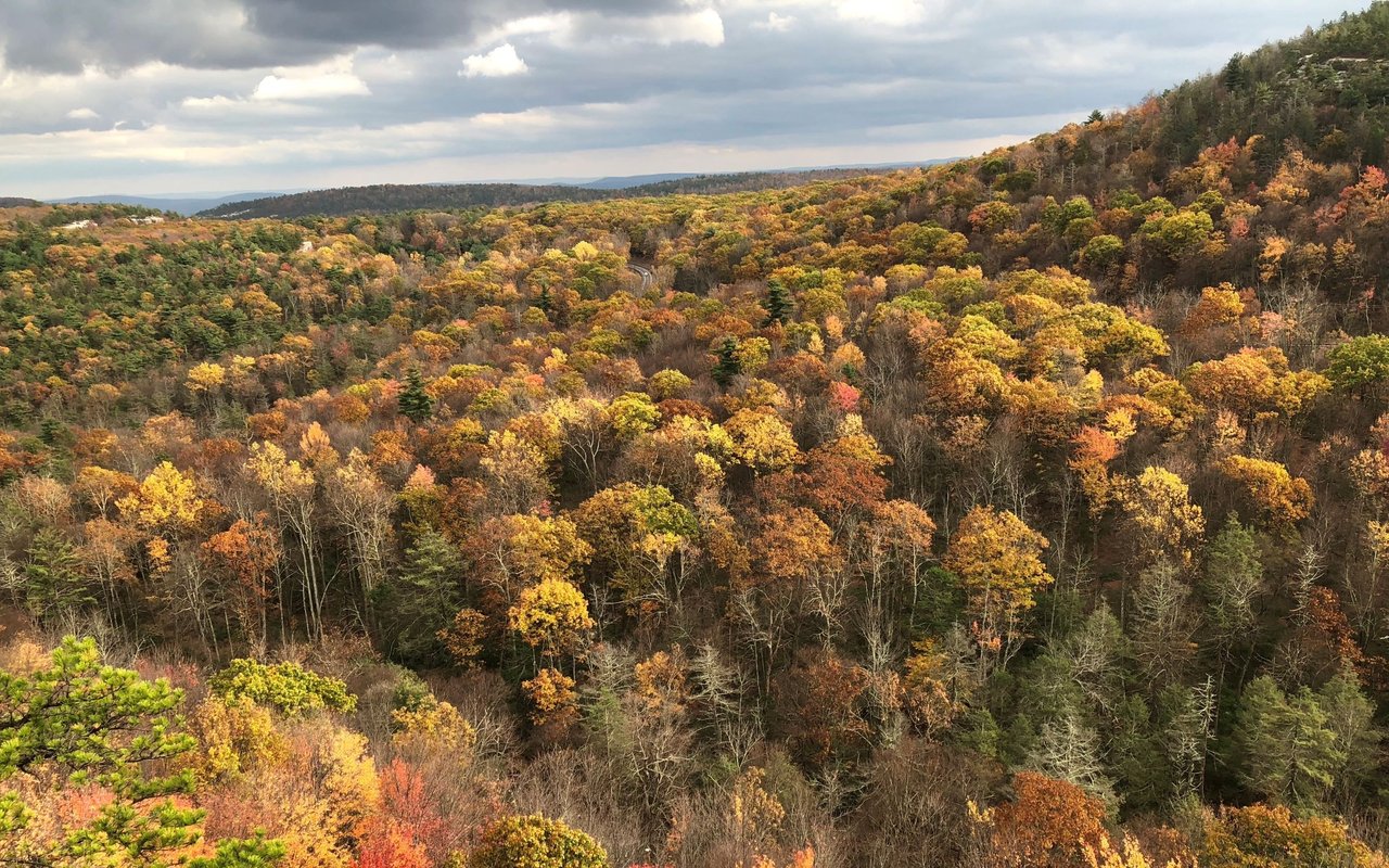 Accord, NY Homes for Sale