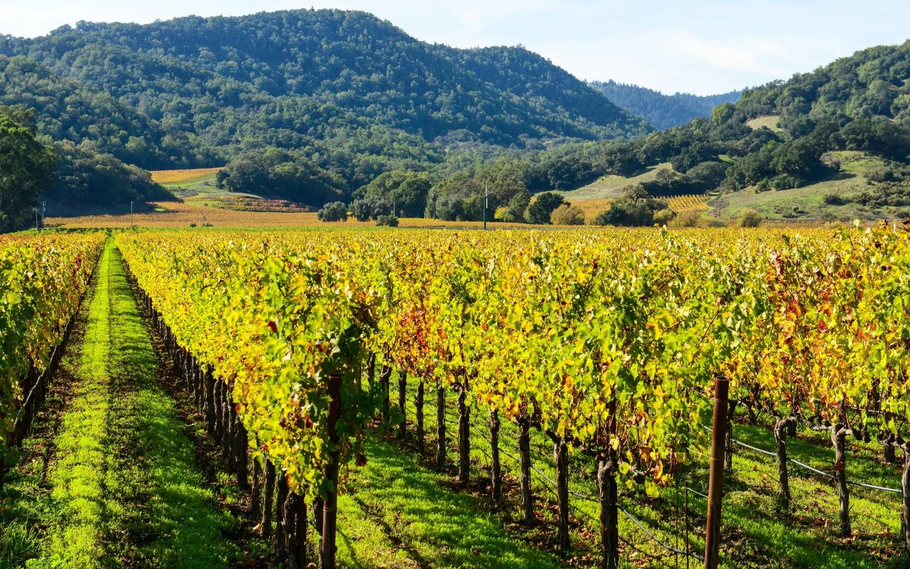 Napa Valley