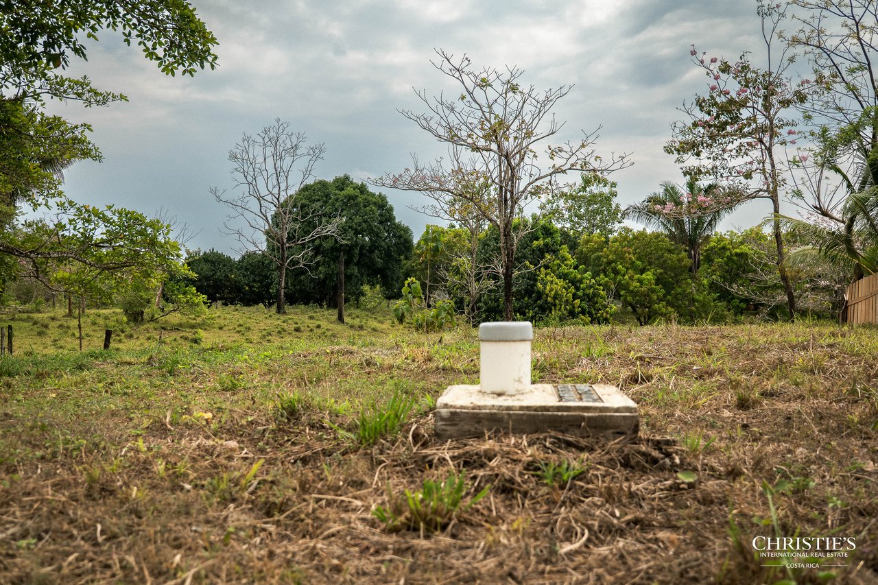 Blossom Hill Parcel in Santa Teresa