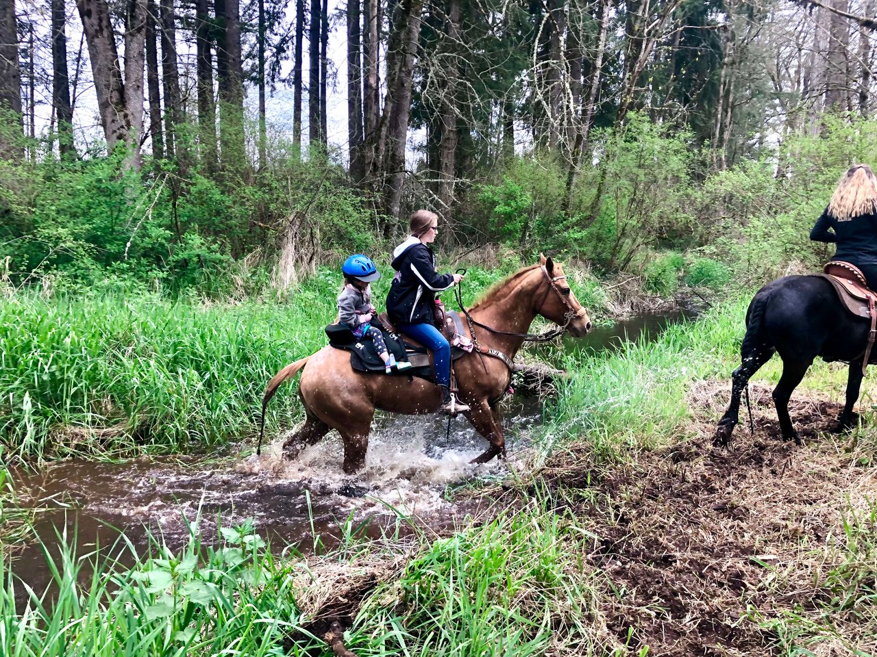Blue Diamond Ranch