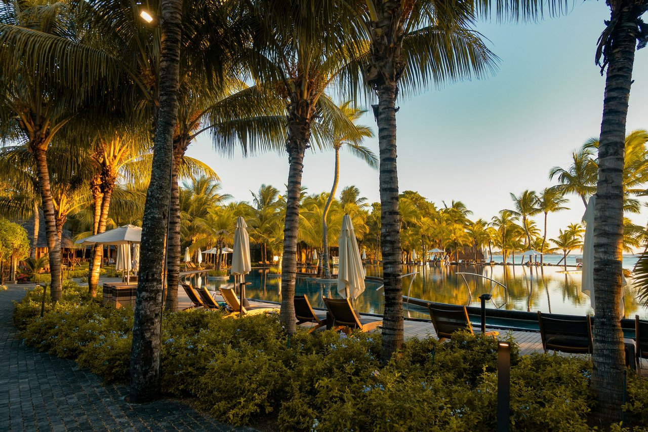 Poolside area at a luxury hotel surrounded by tall palm trees, sun loungers, white umbrellas, and lush greenery.