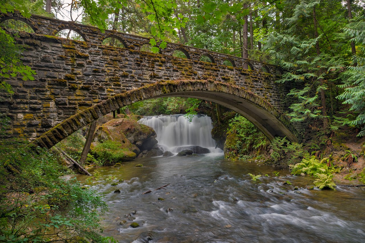 Bellingham