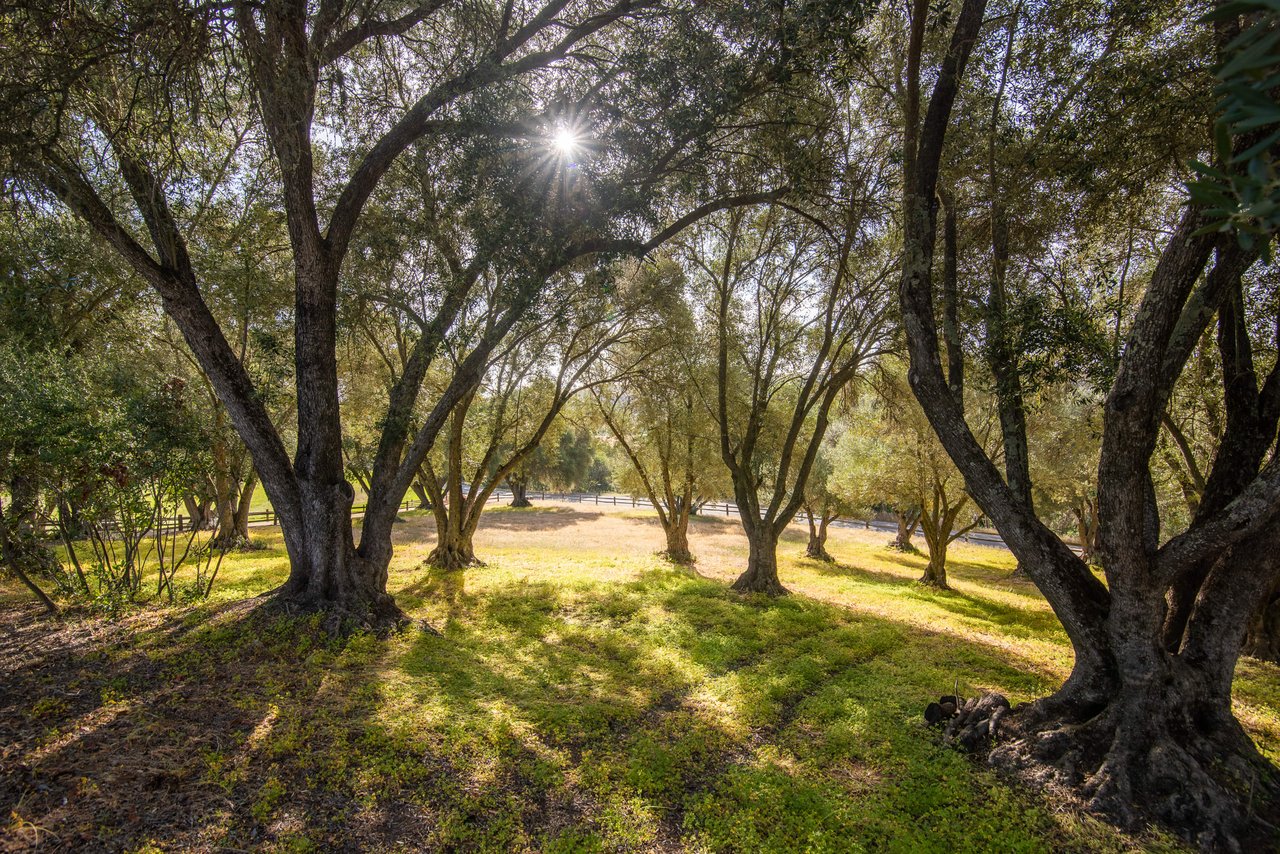 Paso Robles Paradise