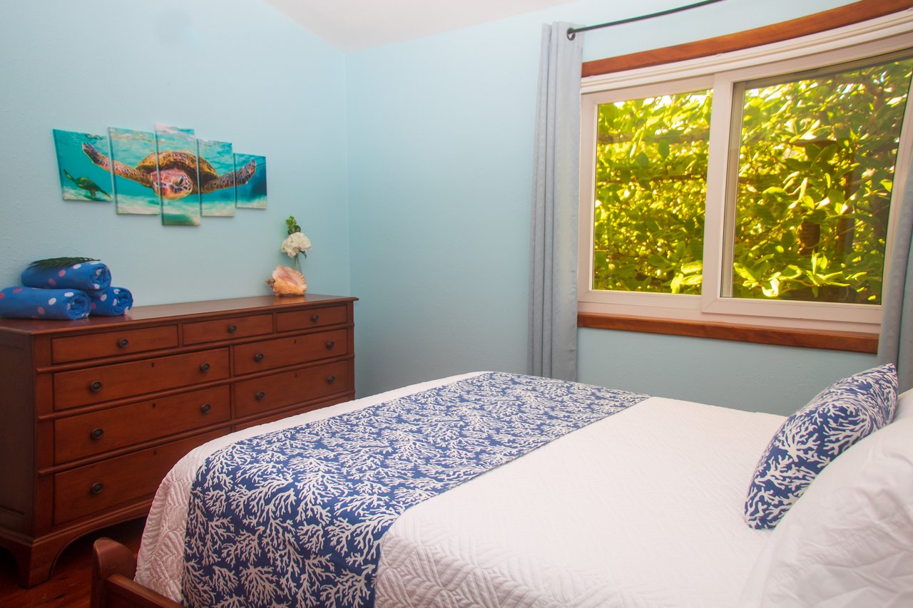 Turtle Casa Beachfront Vacation Villa