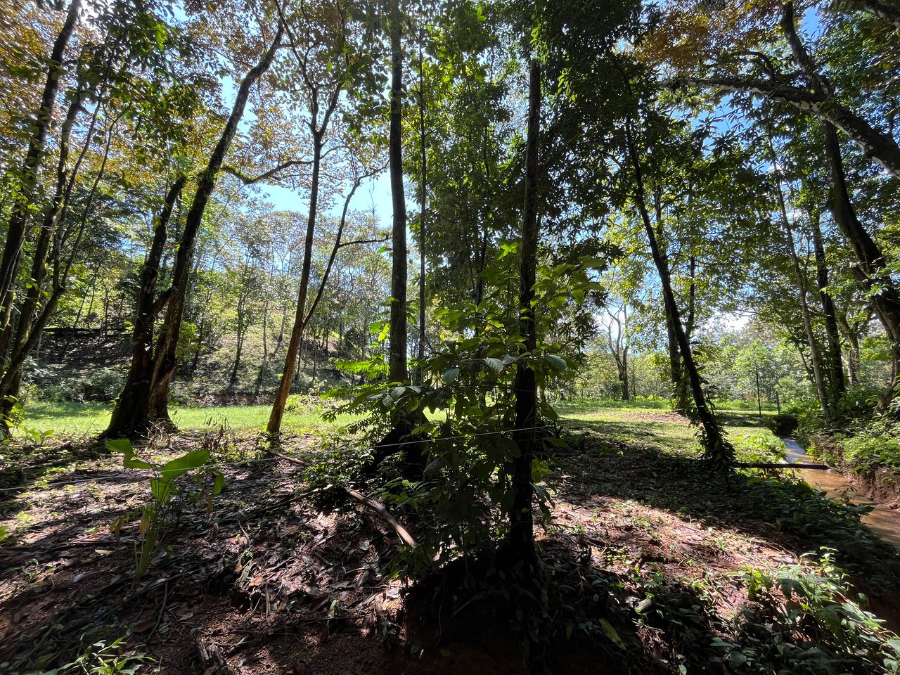 Tortuga Abajo Lot, Just before Ojochal.