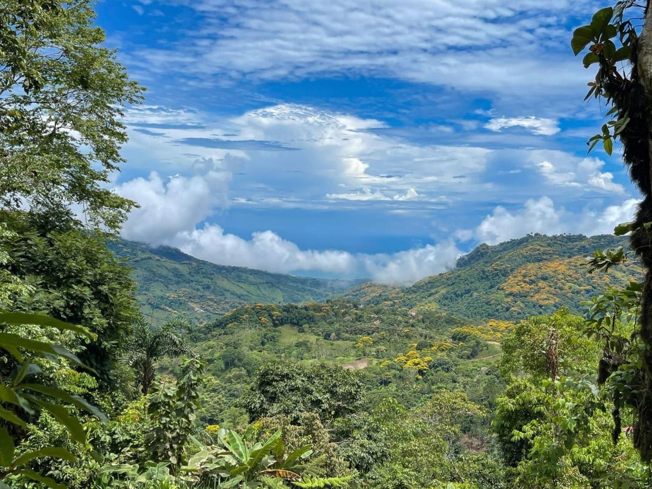 The Ultimate Sustainable Legacy, 360-degree Breath-taking Views Sea Ridge Reserve