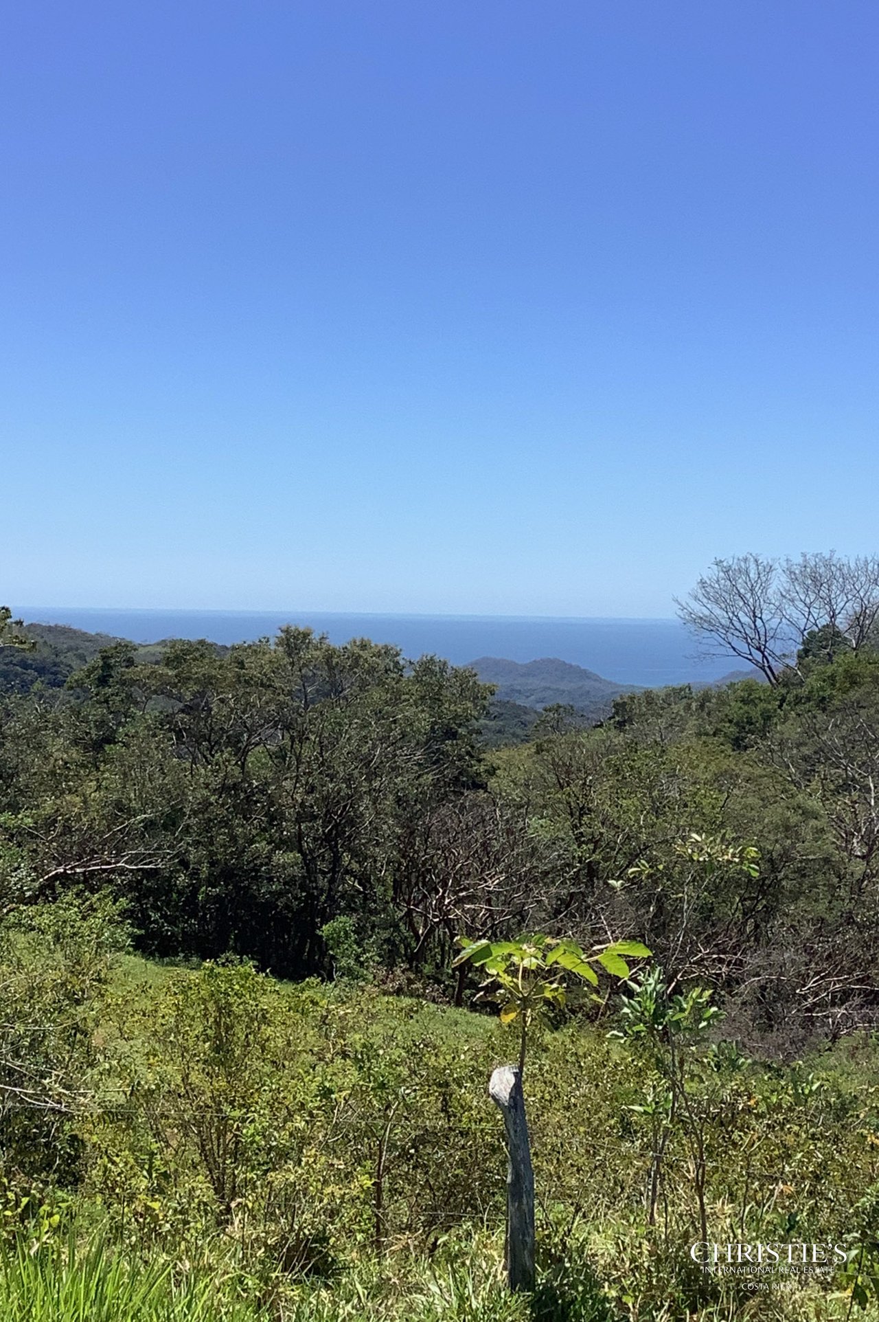 Finca Naranjalito