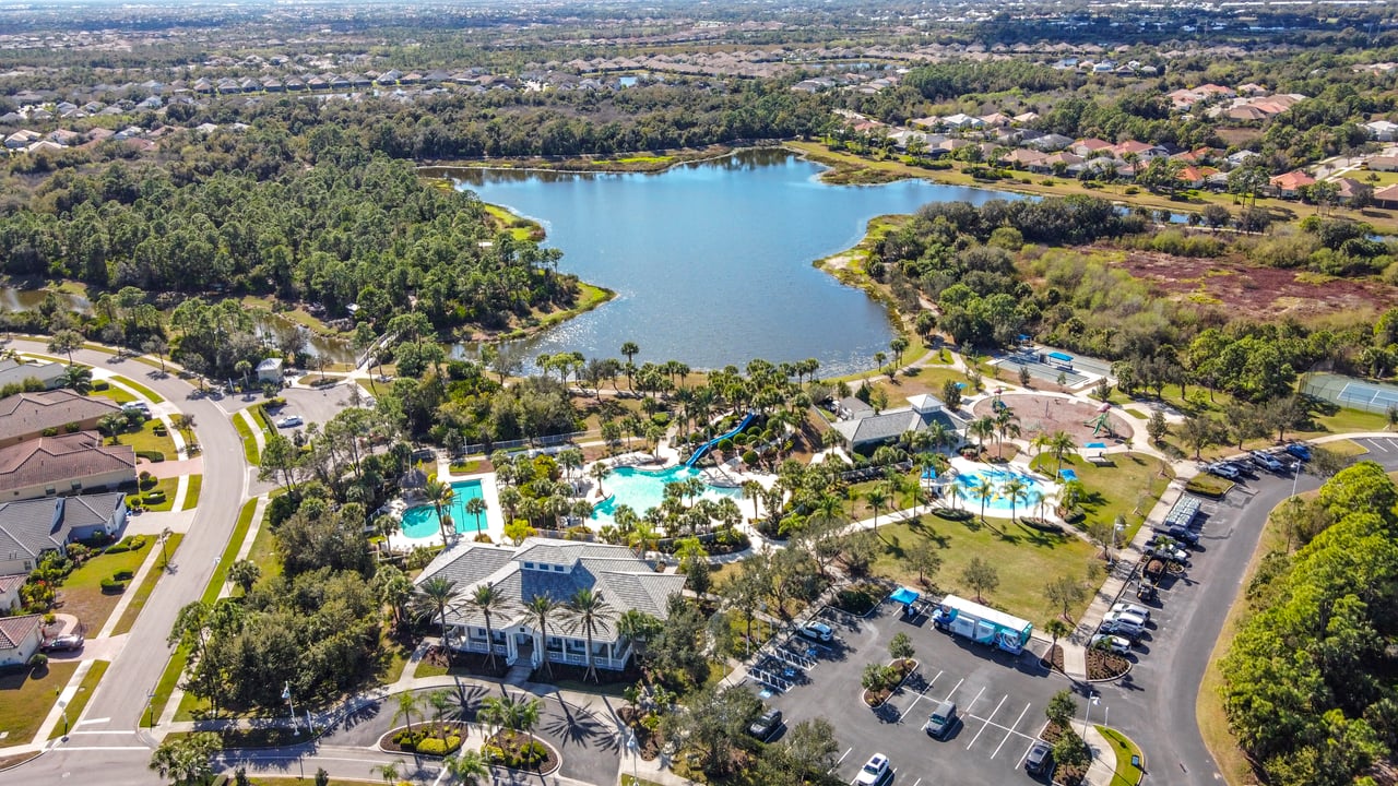 Grand Palm