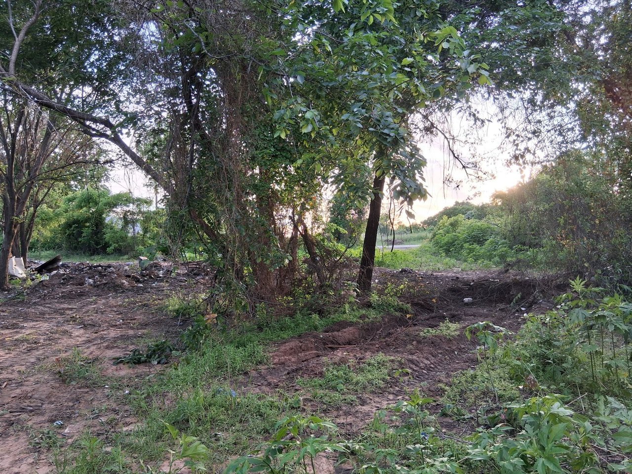 1247 County Road 4590