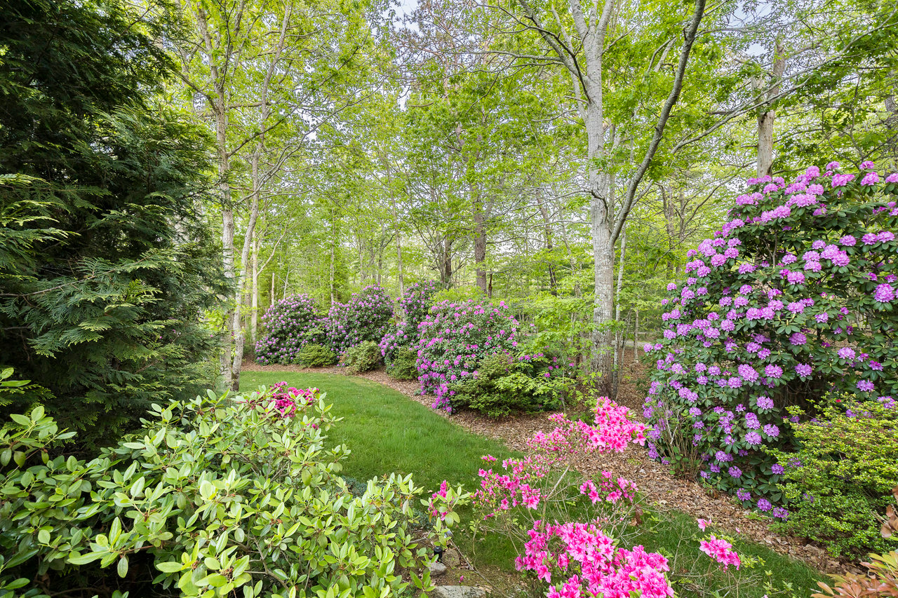 5 Ely Brook to Hands Creek, East Hampton