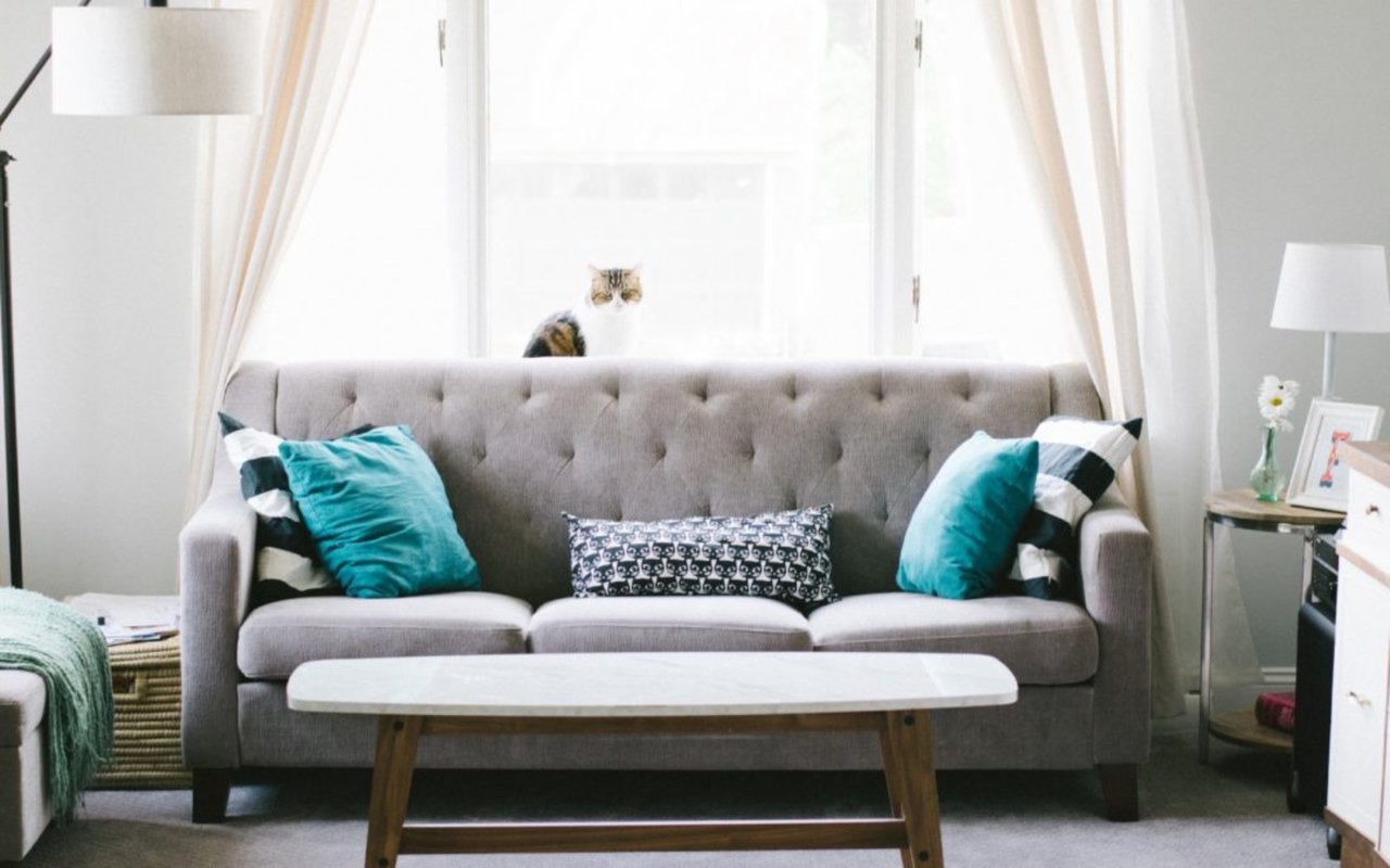 5 Interior Design Ideas Trending Right Now
