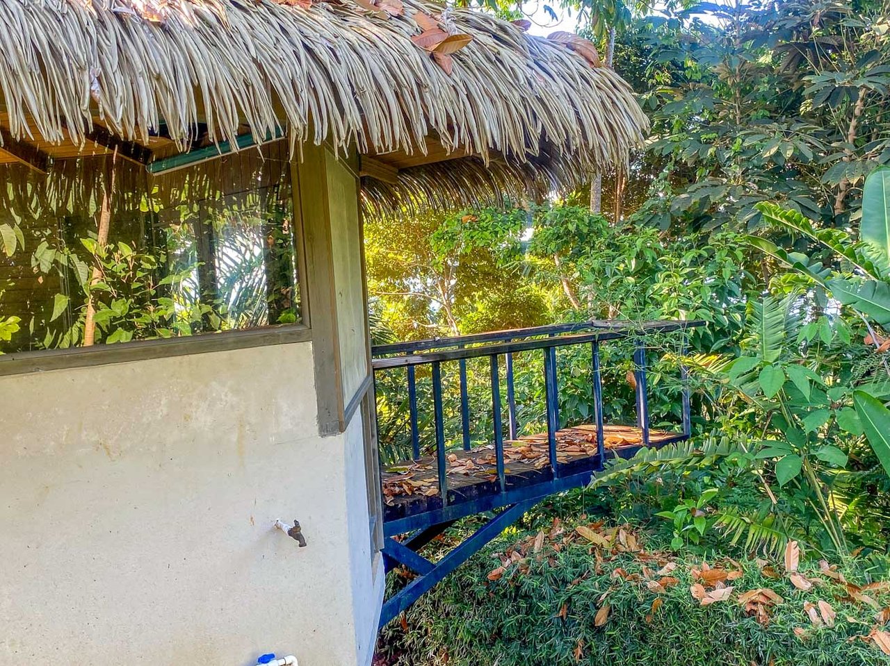 Ocean, Jungle & Mountain View Home in Ojochal | Protected Jungle Setting
