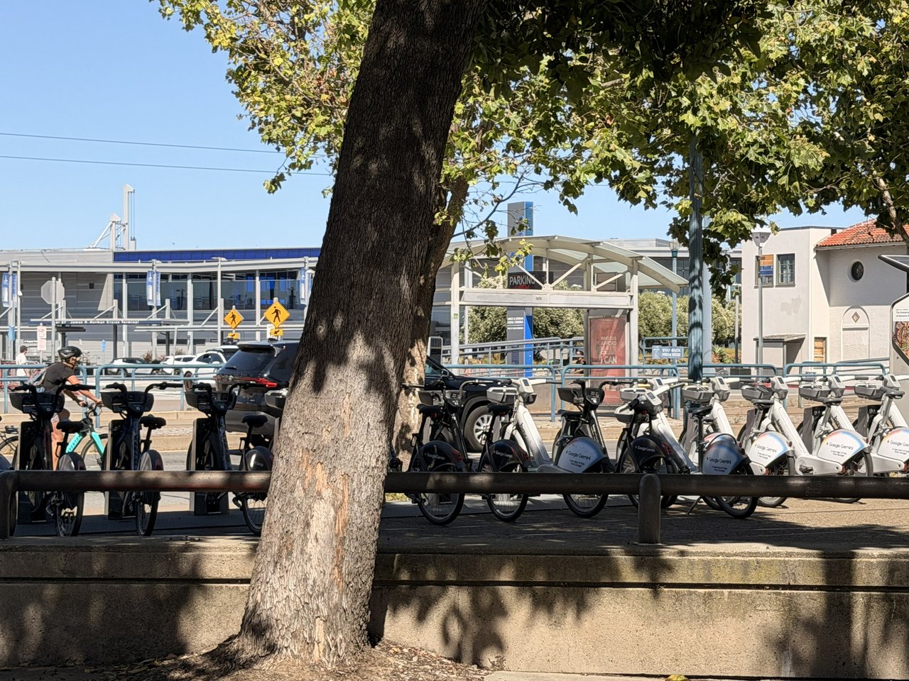 North Waterfront / Telegraph Hill