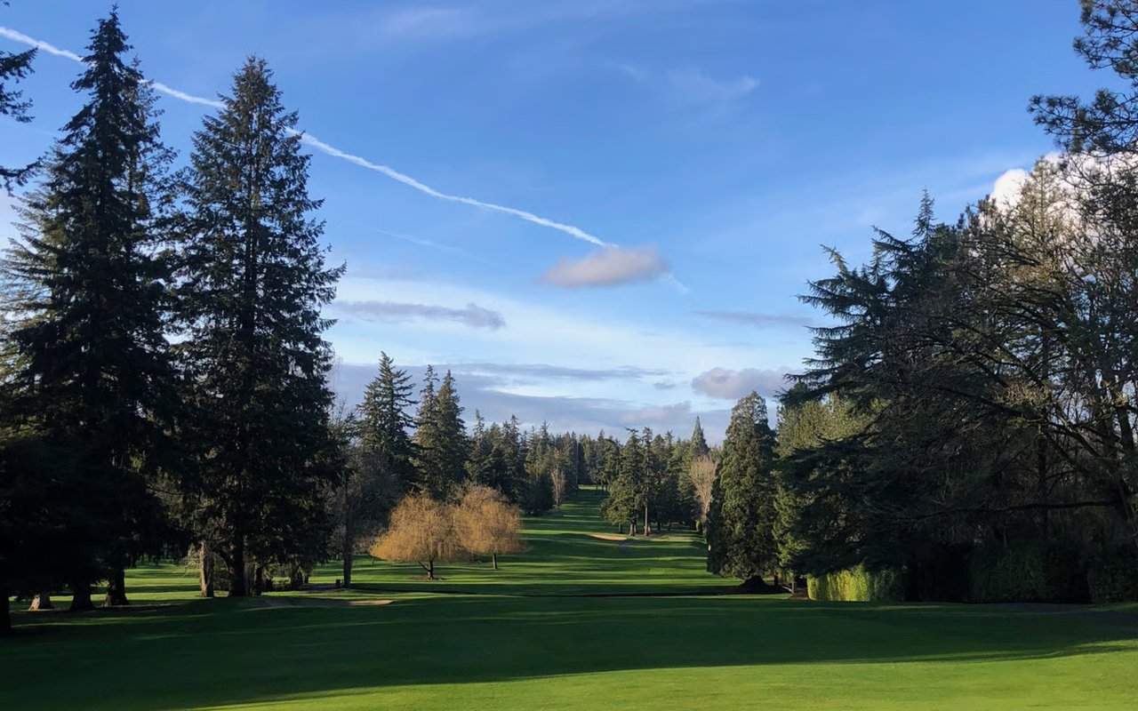 Ode to a Douglas Fir