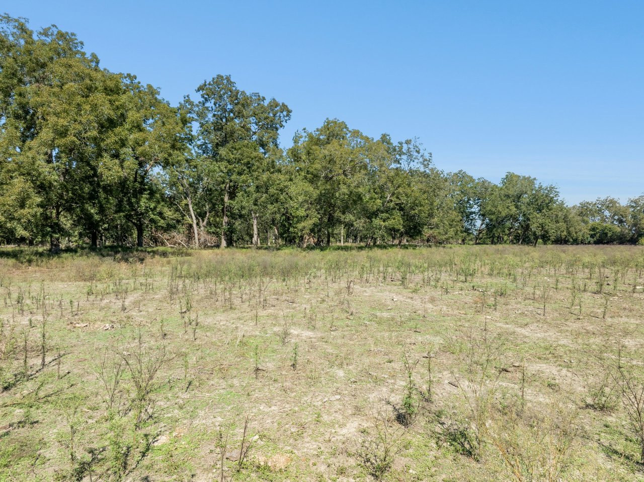 +/- 200 Acre Guadalupe Riverfront Ranch For Sale!