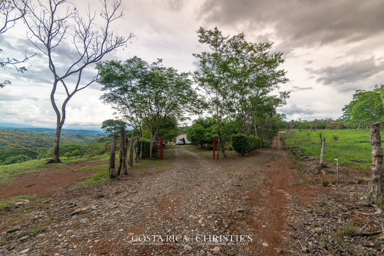 Finca Buenos Aires