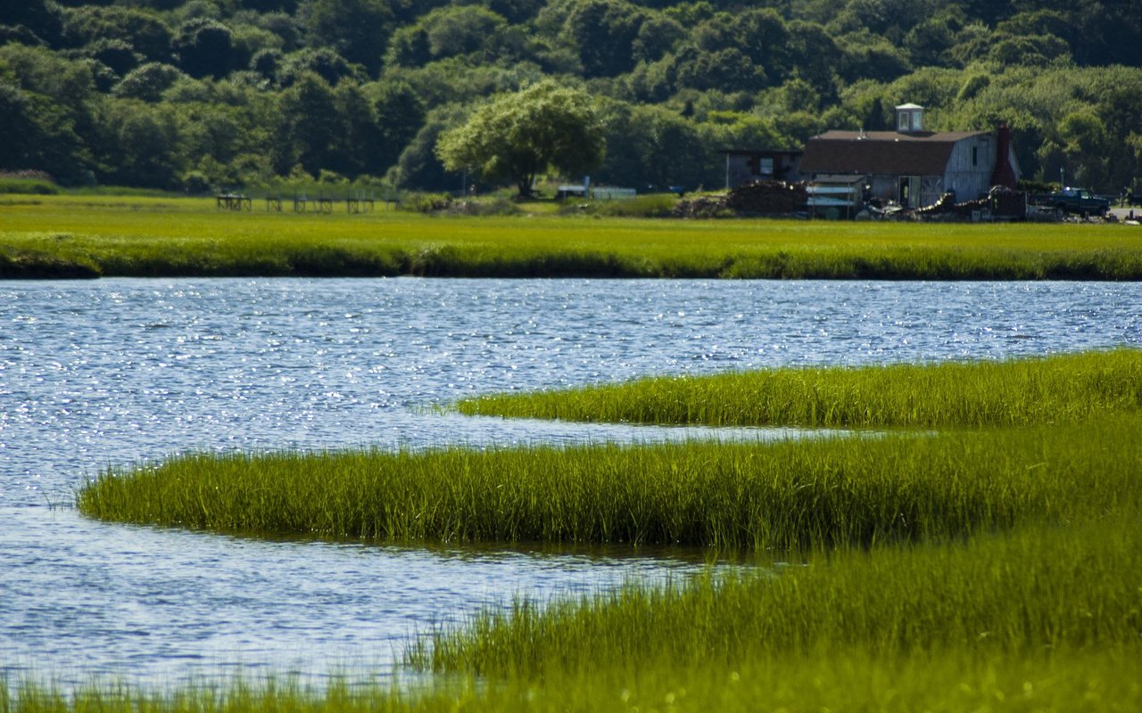 Marshfield