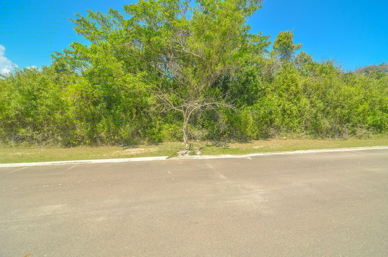 Lot #81 Lyford Hills