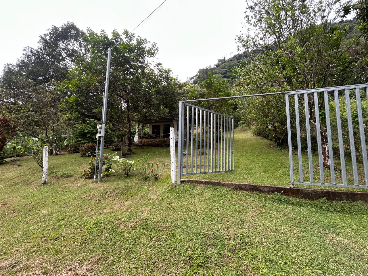 Commercial & Residential Property in Punta Mala with Producing Fruit Trees