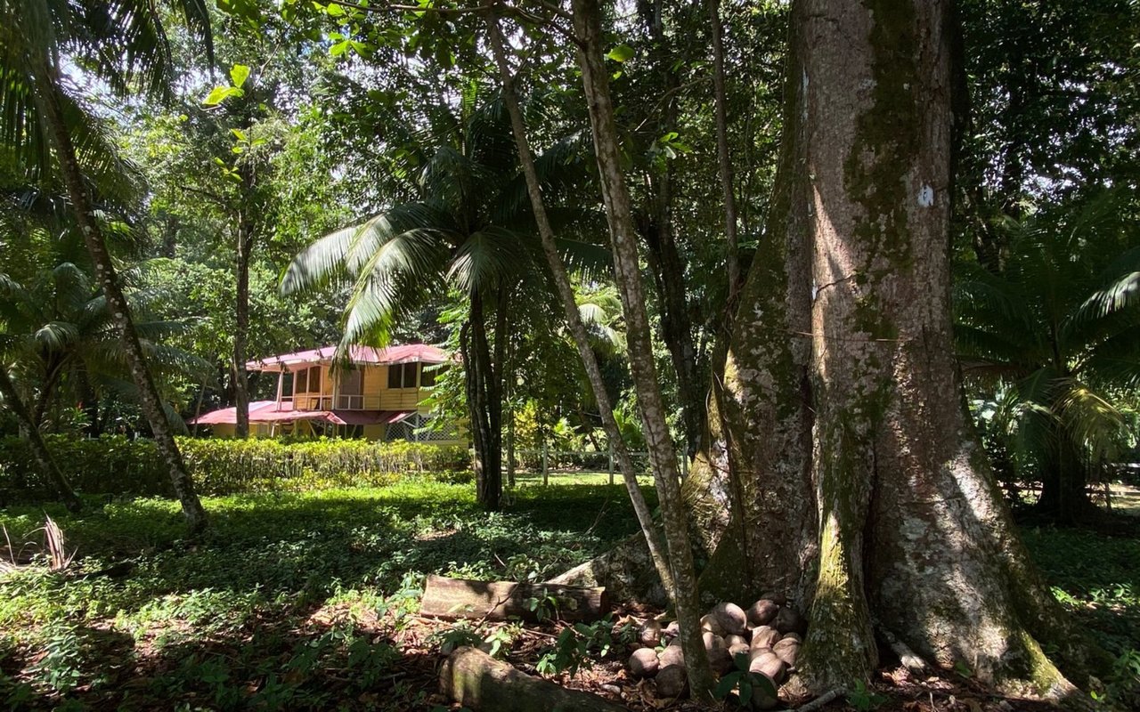 Titled Beachfront Development Land, Uvita, Puntarenas