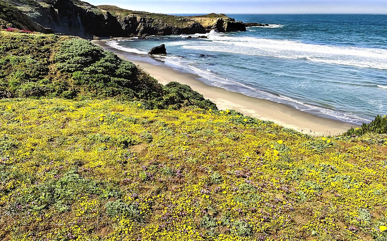 Beaches in The Sea Ranch, CA