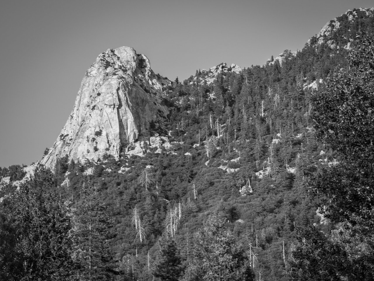 Lilly Rock, Idyllwild