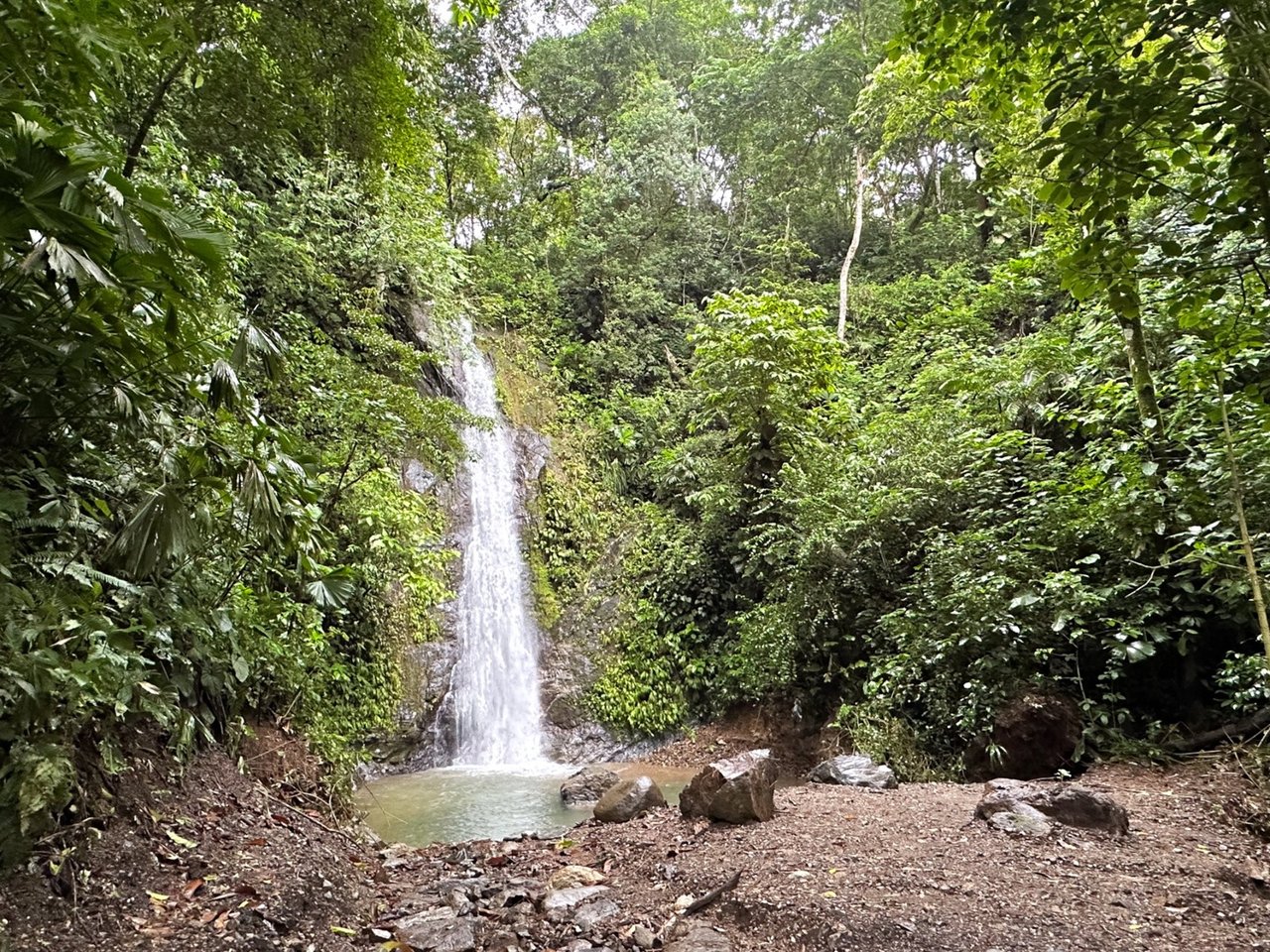Waterfall Orchard Jungle Estate, Ojochal, Puntarenas