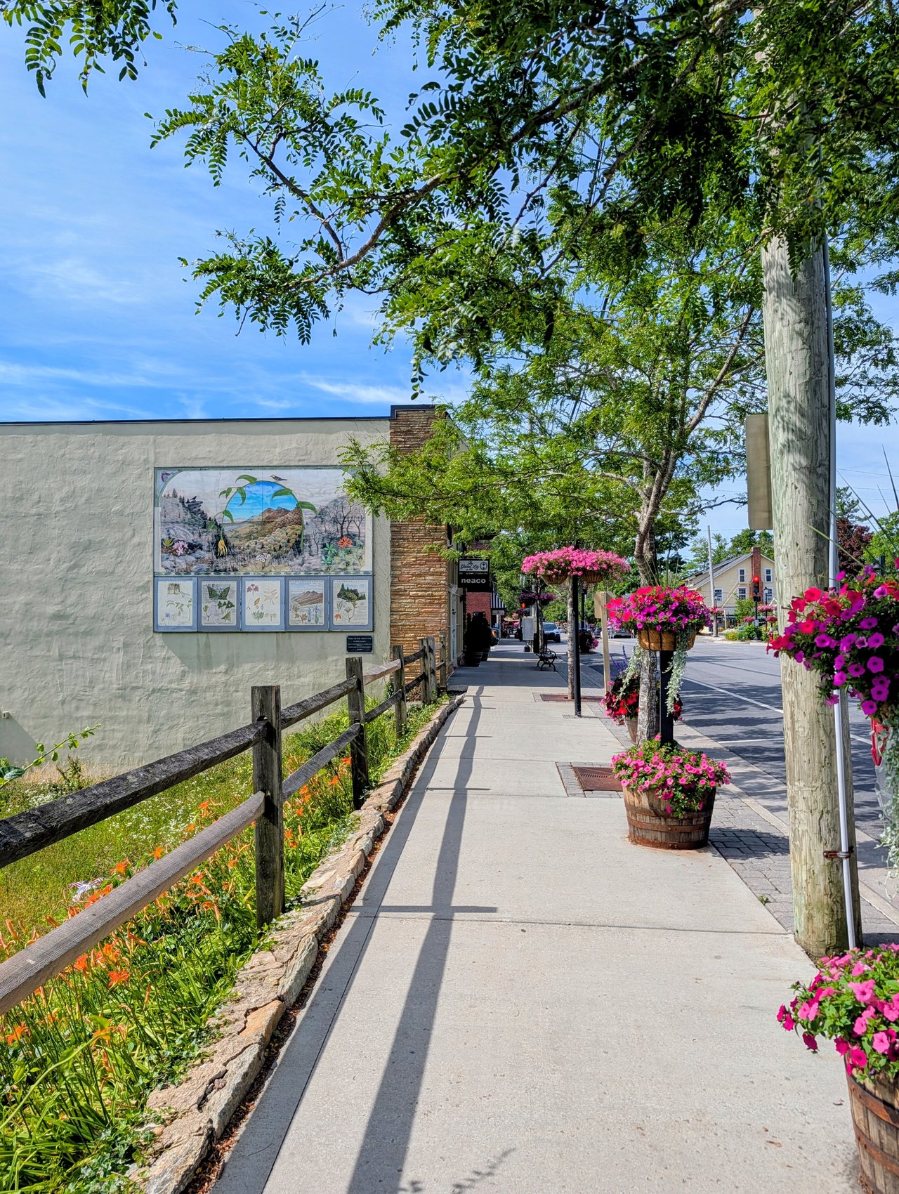 A charming view of downtown Blowing Rock, NC, featuring colorful flowers, local artwork, and the welcoming small-town atmosphere of this beautiful Blue Ridge Mountain community.