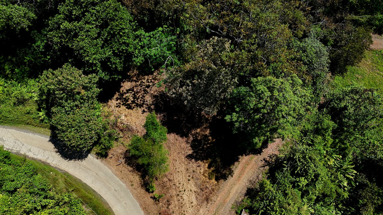 Ocean View Property with Plantel and Trails in Hatillo – Ready to Build