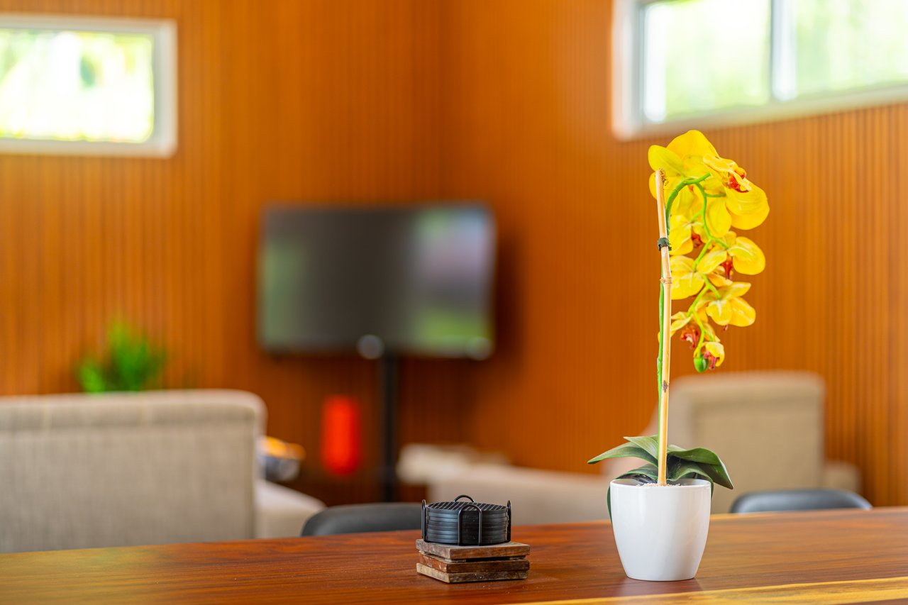 Brand New Home! Nature Lovers Escape by Uvita's Bamboo Forest and Swimming Holes