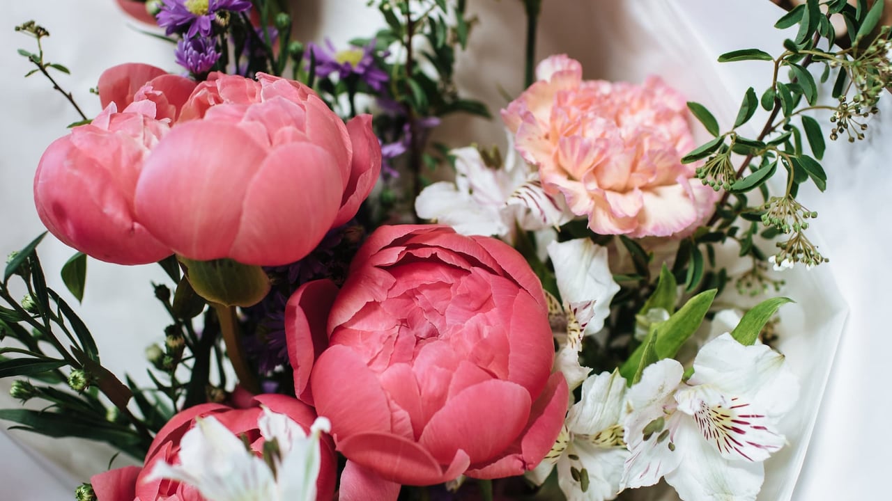 Fresh Picks: Your Local Guide to Mother’s Day in Petaluma