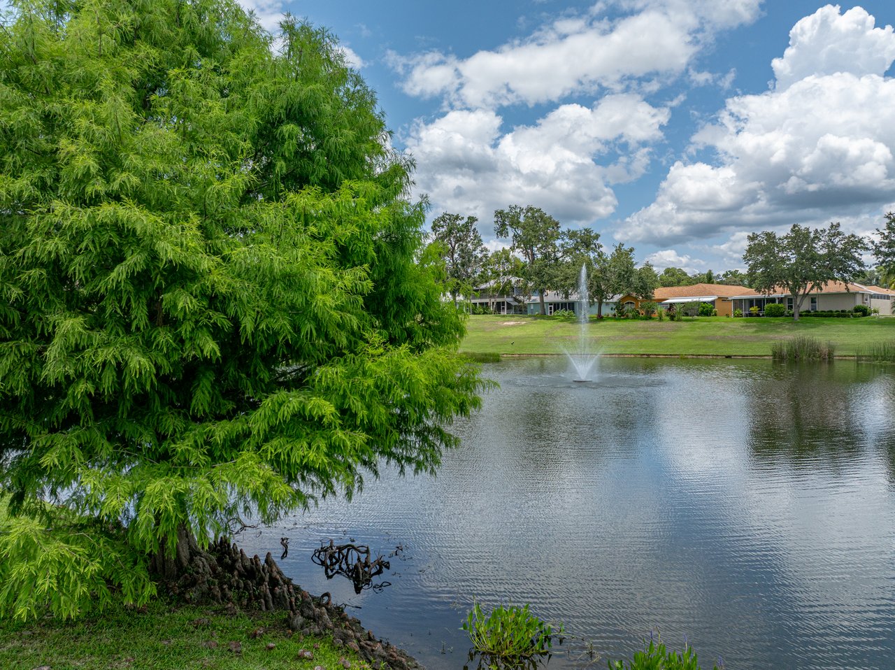 12333 WOODLANDS CIR