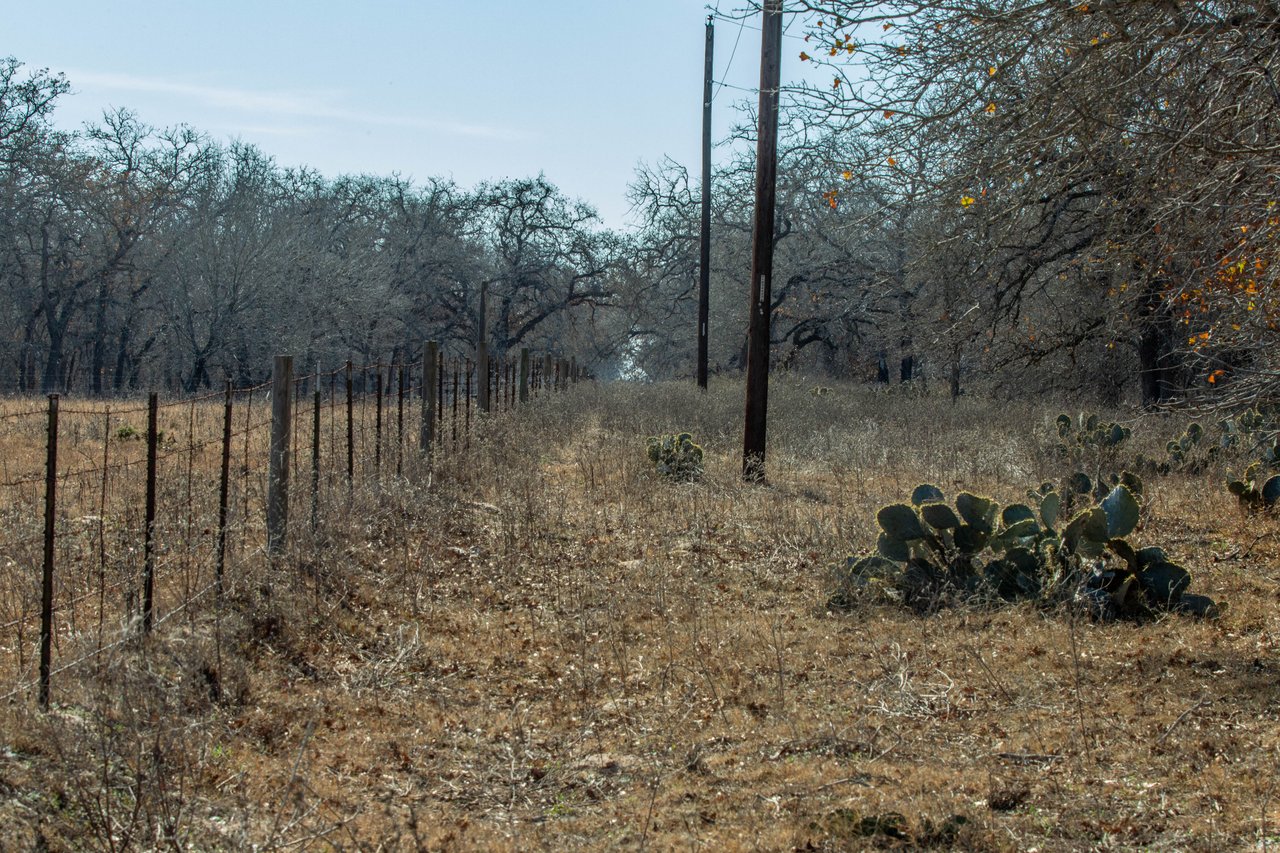 Whispering Pines Floresville Ranch | 298± Acres | Wilson County