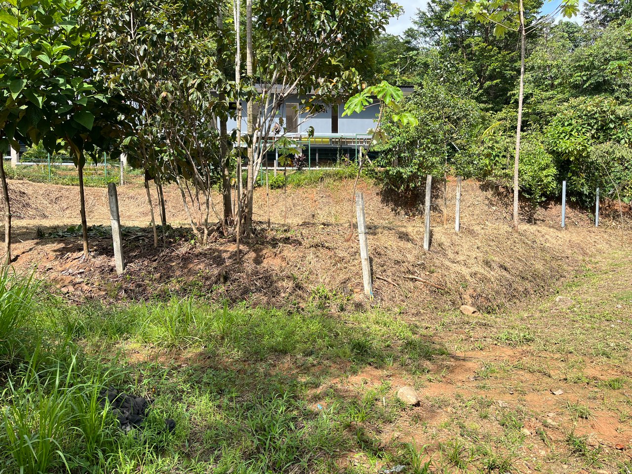 Affordable Uvita Lot UNDER $200-per-sqm - Perfect for Your Dream Home or Airbnb Investment