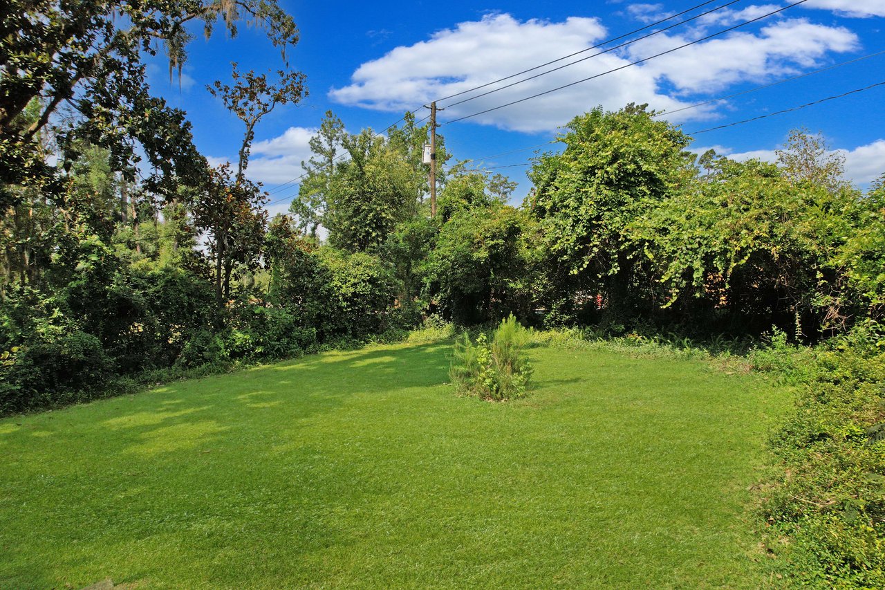 Lush green field surrounded by dense trees under a clear blue sky with fluffy clouds. A single bush stands out in the center, evoking a serene, natural scene.