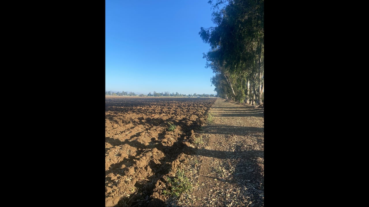 Highway 101 Property