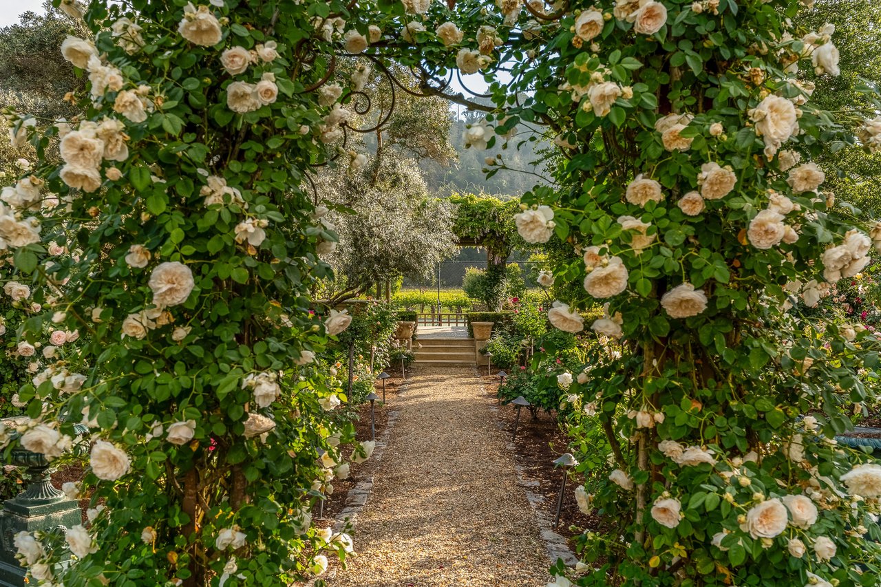 Mills Lane, St. Helena