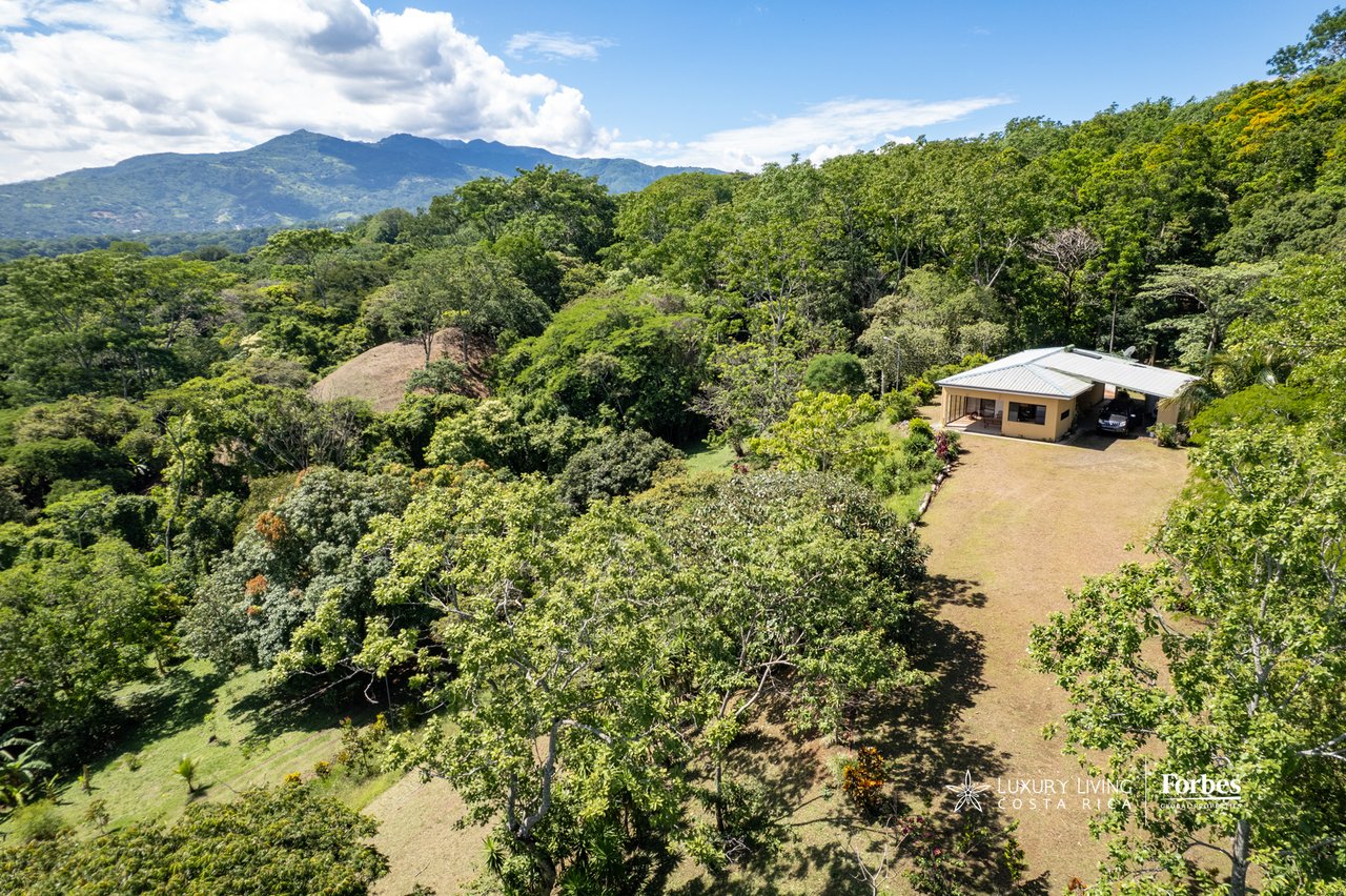 Aerial view of a rural property with a small house amid forest, with mountains in the distance.