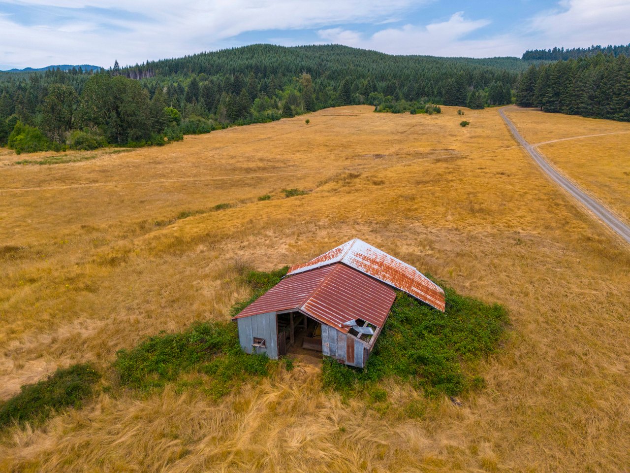 Sheffler Farm & Forest