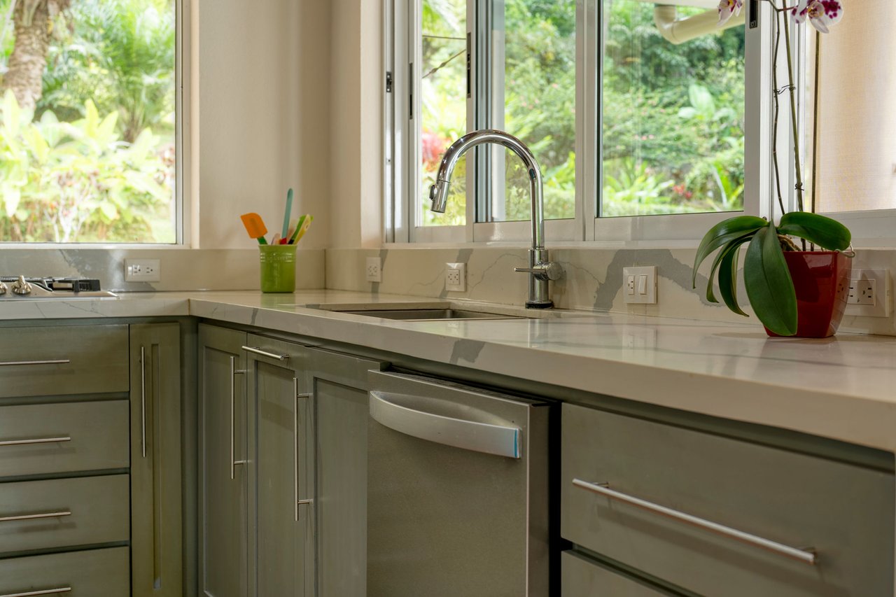 CASA TRANQUILA IN LAGUNAS – HOME, GUEST SUITE, SALON, AND GARAGE WITH WORKSHOP