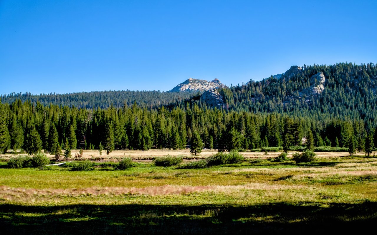 Alpine Meadows