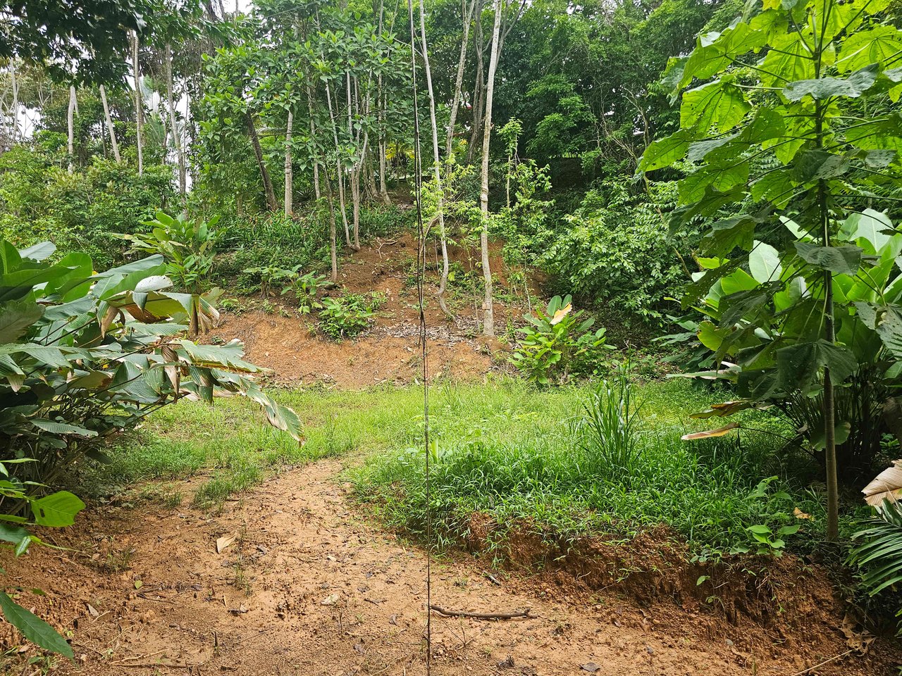 Discover Your Dream in Uvita's Prime Real Estate