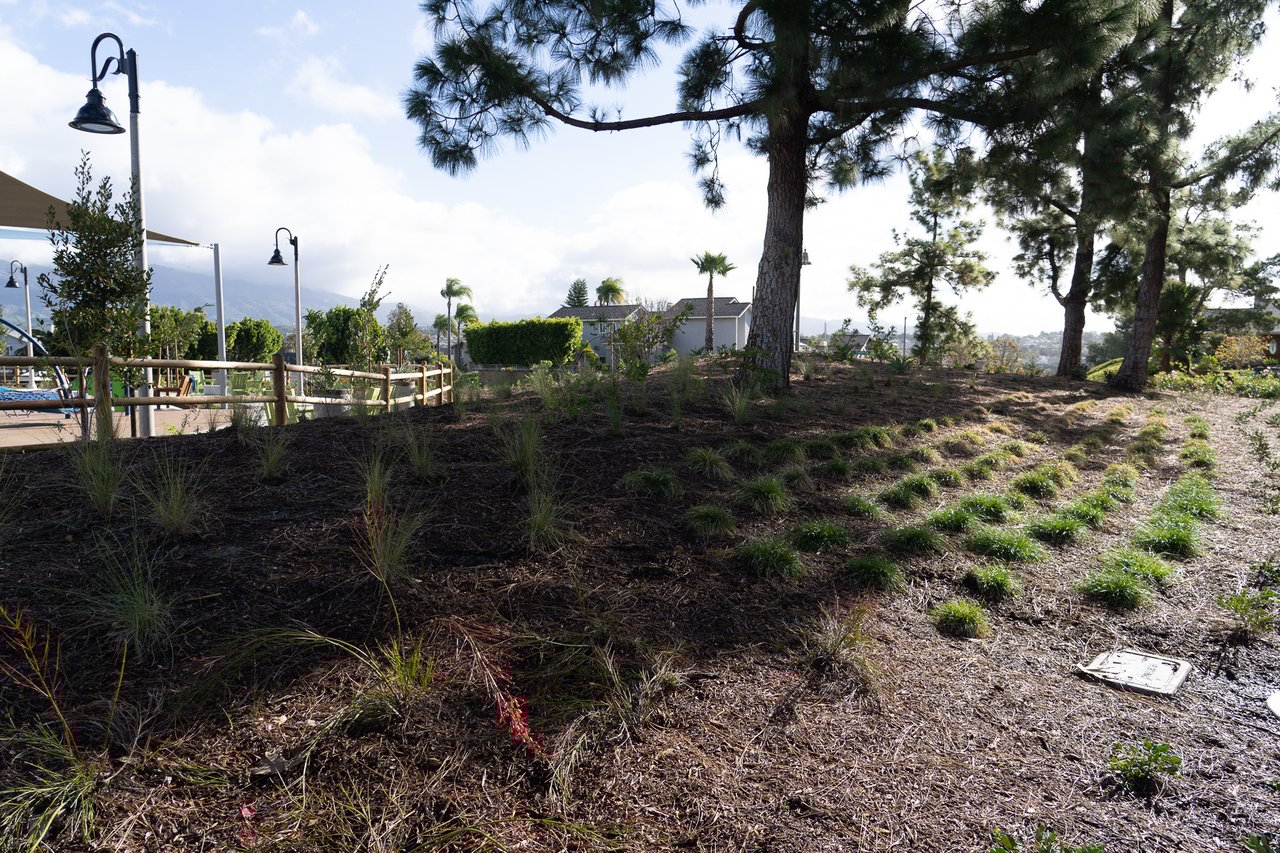 21865 Jinetes, Mission Viejo, CA 92691