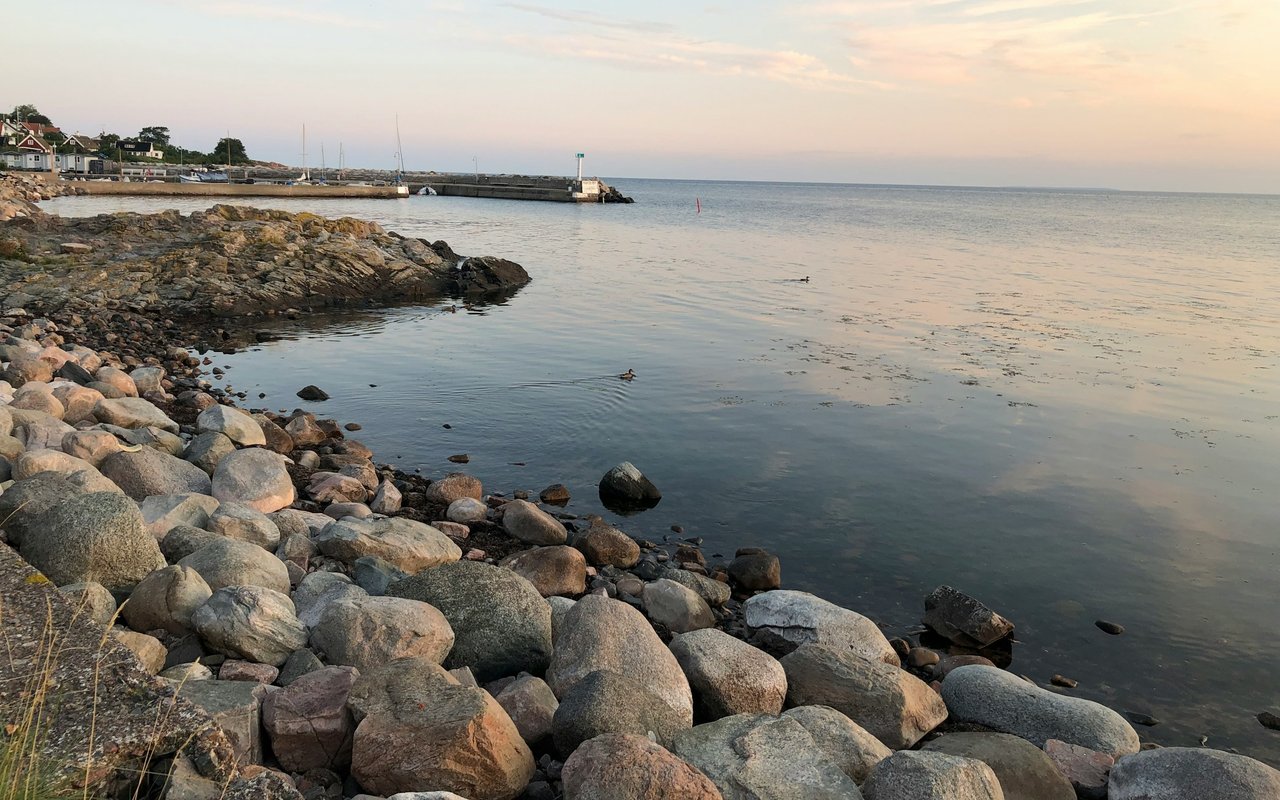 Rocky shoreline and calm harbor water with coastal houses in the distance.