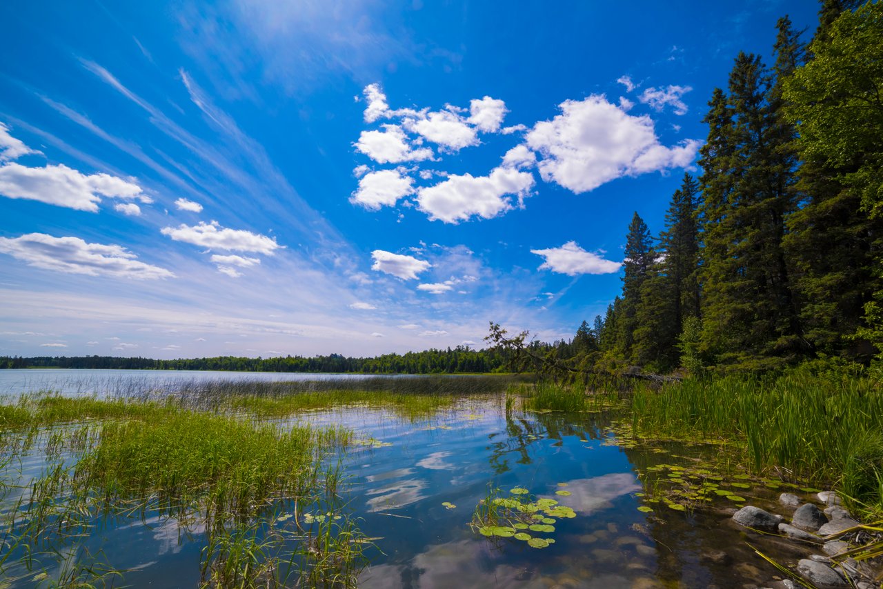 Elk River