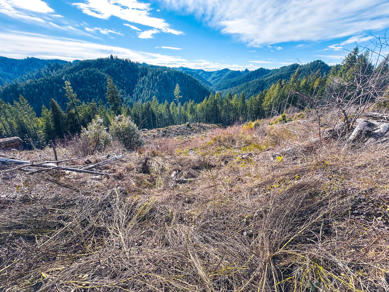 Smith River Back Woods