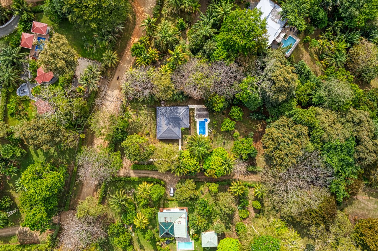 Tranquil Home with Fruit Trees and Space for Several Casitas